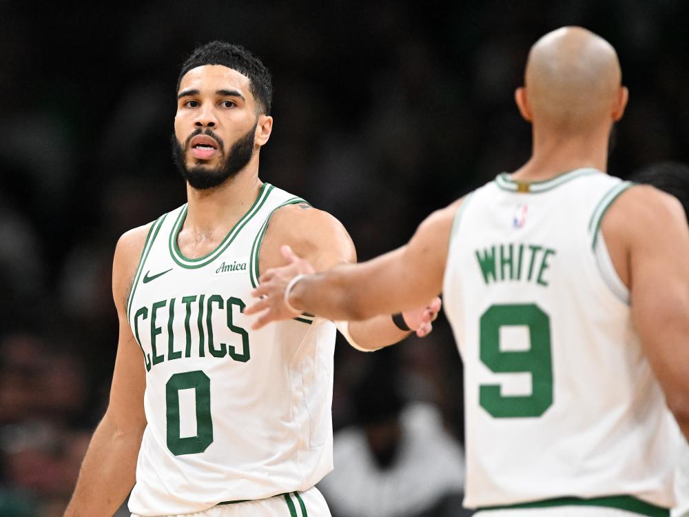 潜力与适应 潜力与适应